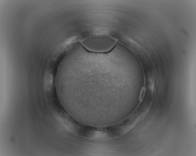 X0000113590308200909251141