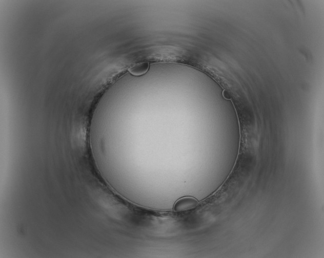 X0000113590309200909251141