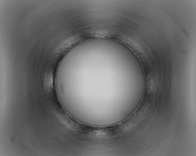 X0000113590310200909251141