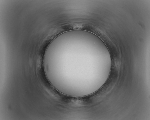 X0000113590311200909251141