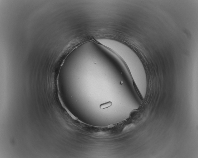 X0000113590312200909251141