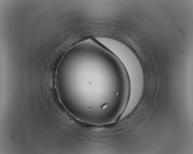 X0000113590313200909251141