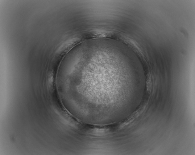 X0000113590314200909251141