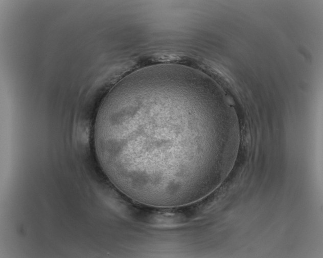 X0000113590315200909251141