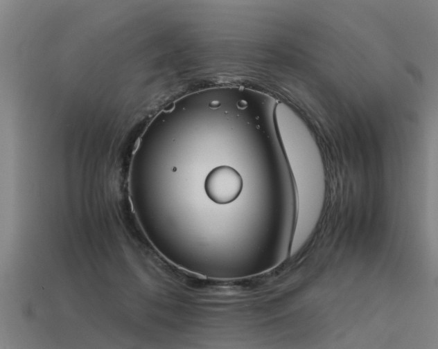 X0000113590316200909251141