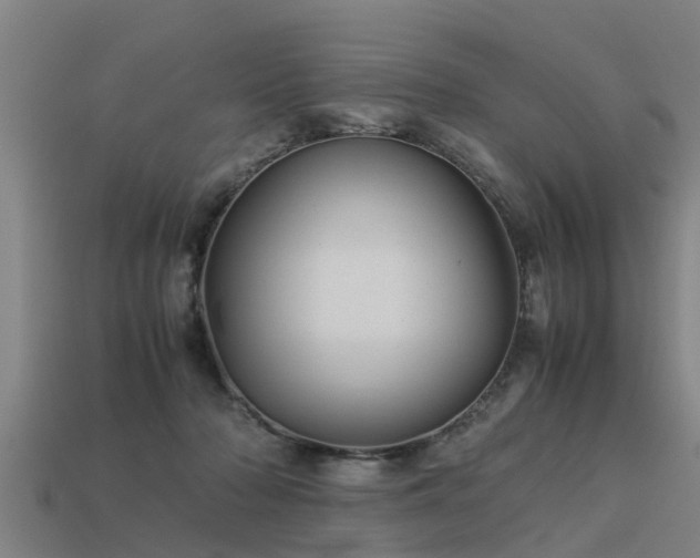 X0000113590318200909251141