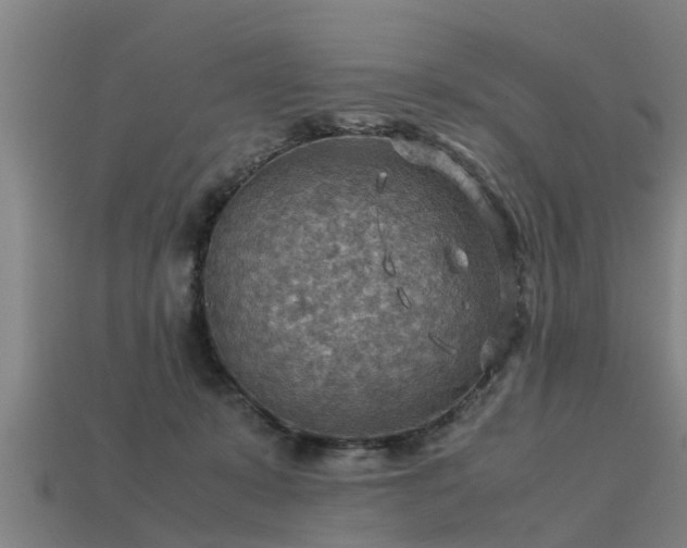 X0000113590319200909251141