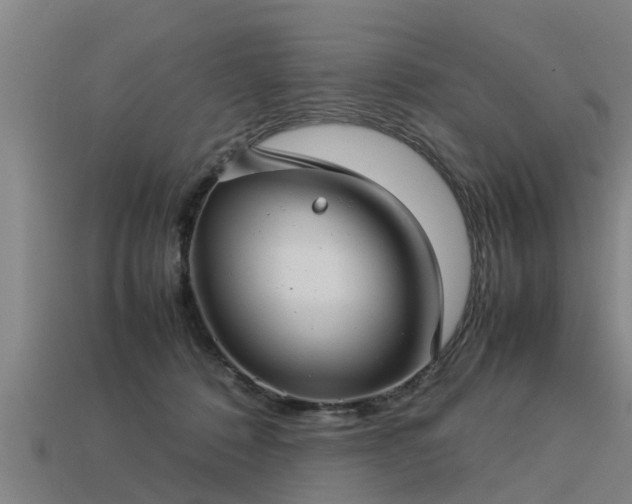 X0000113590320200909251141