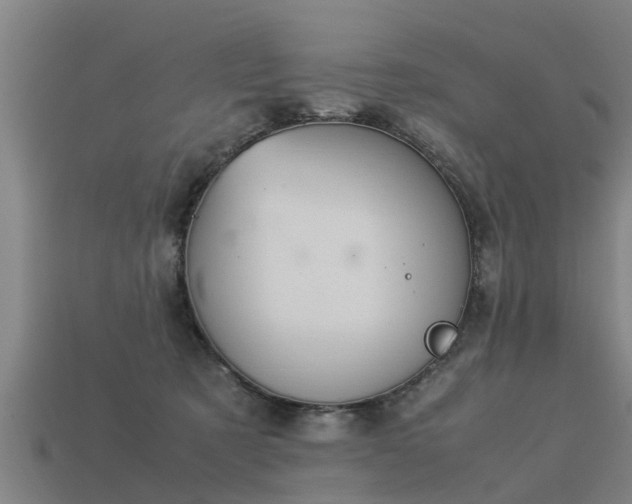 X0000113590321200909251141