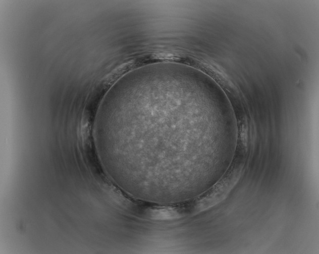 X0000113590322200909251141