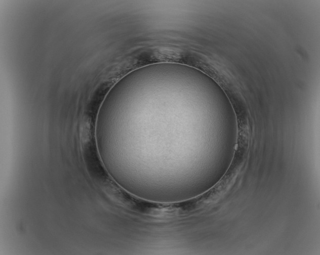 X0000113590323200909251141