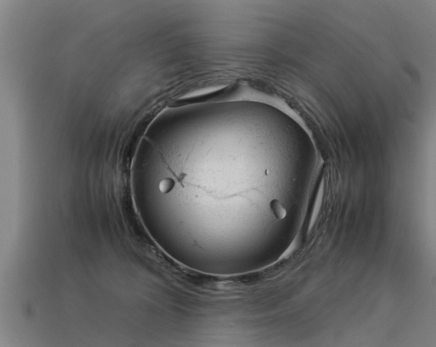 X0000113590324200909251141