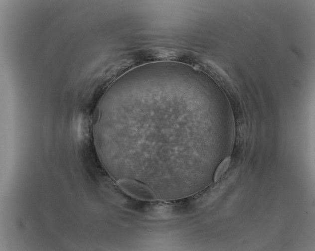 X0000113590325200909251141