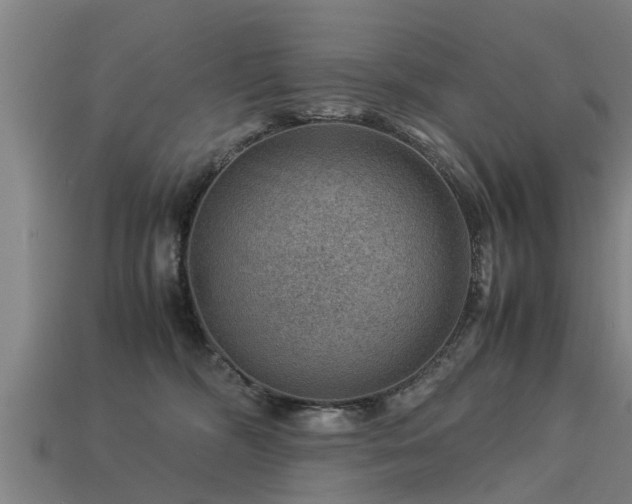 X0000113590326200909251141