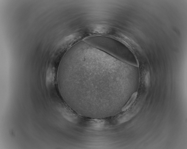 X0000113590328200909251141