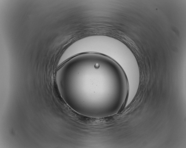 X0000113590329200909251141