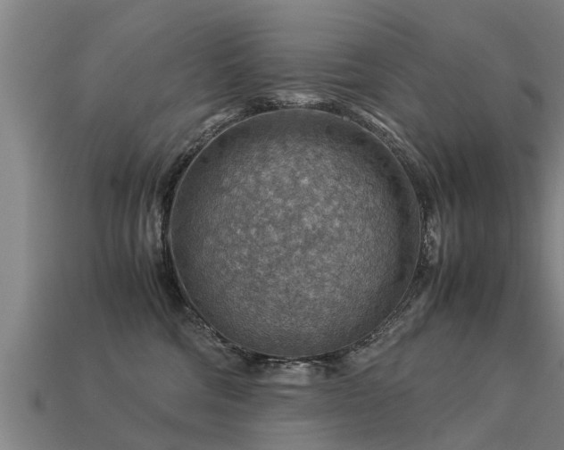 X0000113590330200909251141