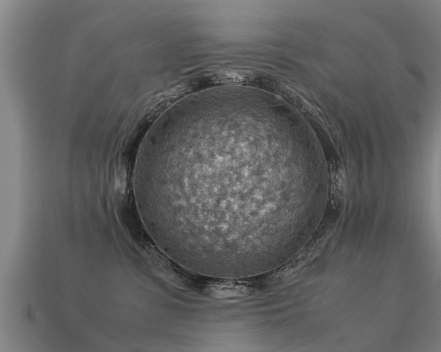 X0000113590331200909251141