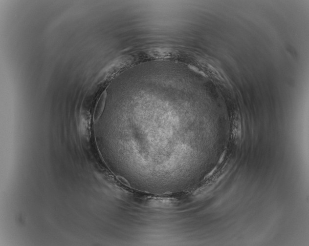 X0000113590332200909251141