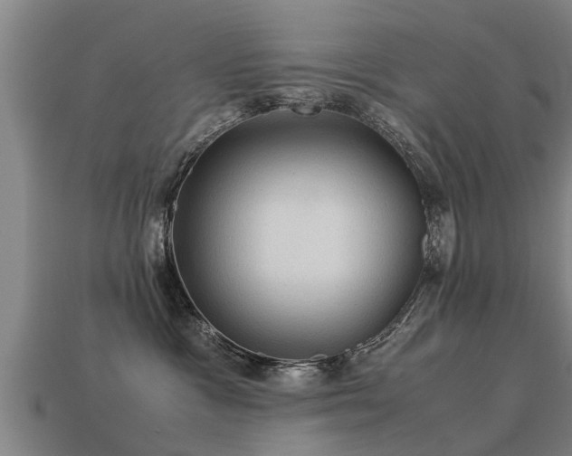 X0000113590333200909251141