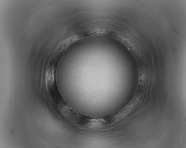 X0000113590334200909251141