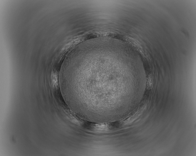 X0000113590335200909251141