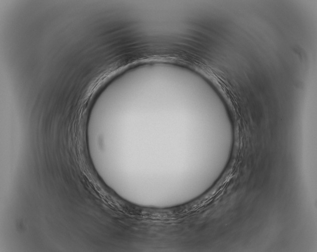 X0000113590337200909251140