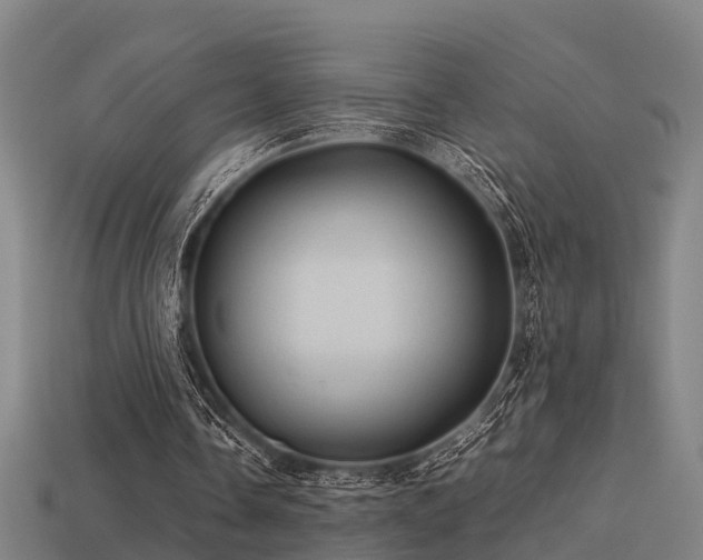 X0000113590338200909251140