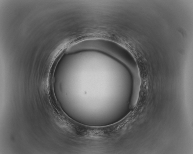 X0000113590340200909251140