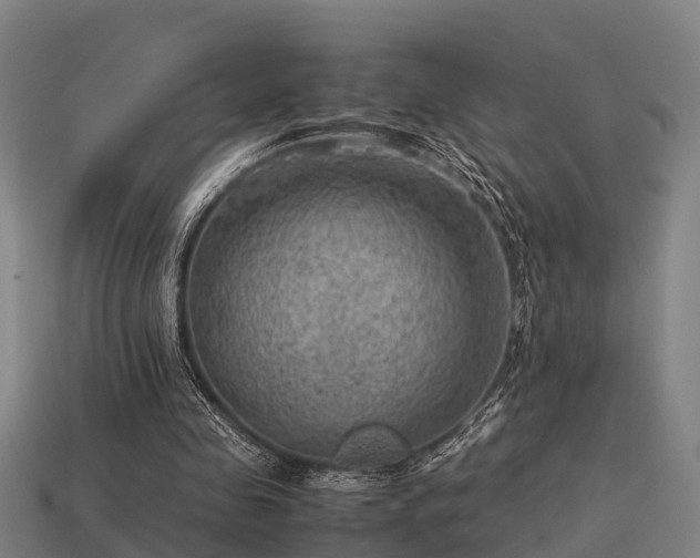 X0000113590341200909251140