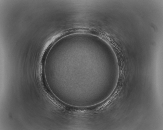 X0000113590342200909251140