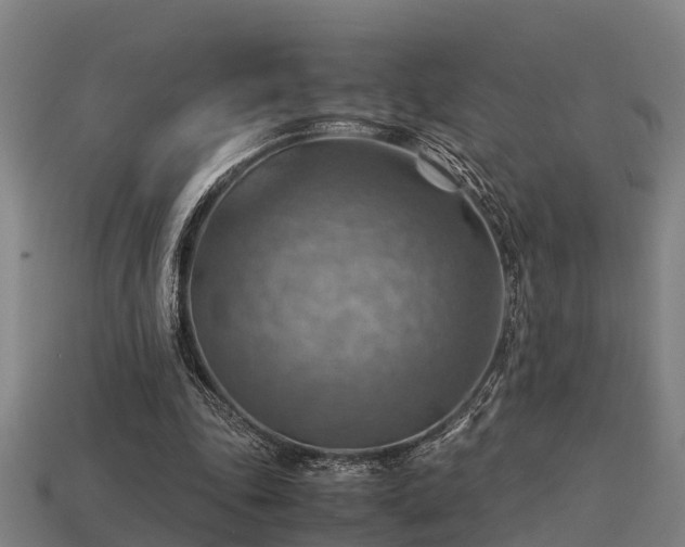 X0000113590343200909251140