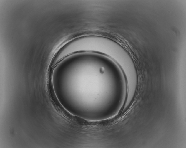 X0000113590344200909251140