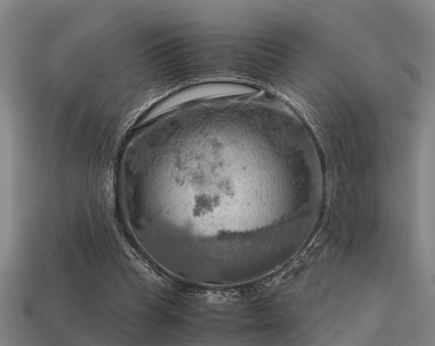 X0000113590345200909251140