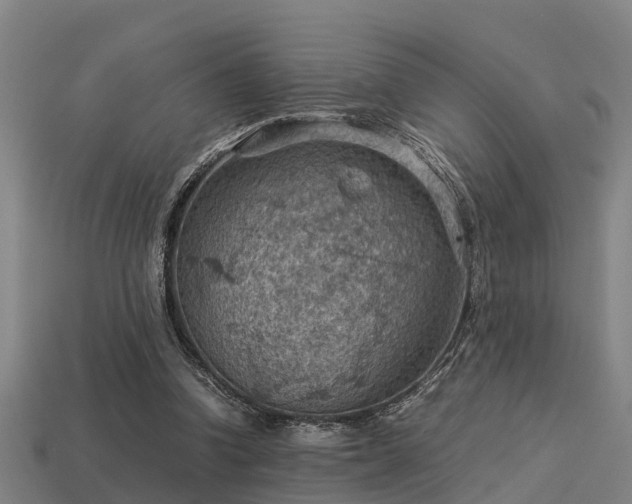 X0000113590346200909251140