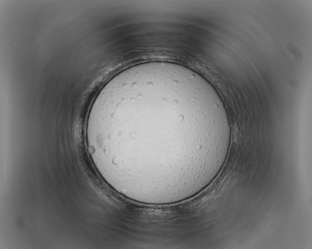 X0000113590347200909251140