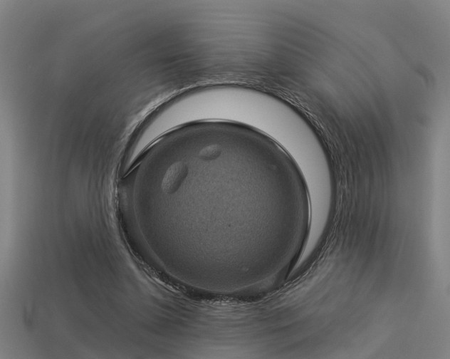 X0000113590348200909251140