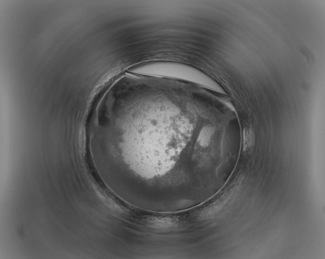 X0000113590349200909251140