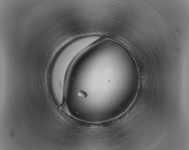 X0000113590350200909251140