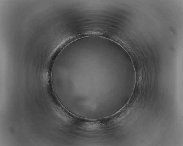 X0000113590351200909251140