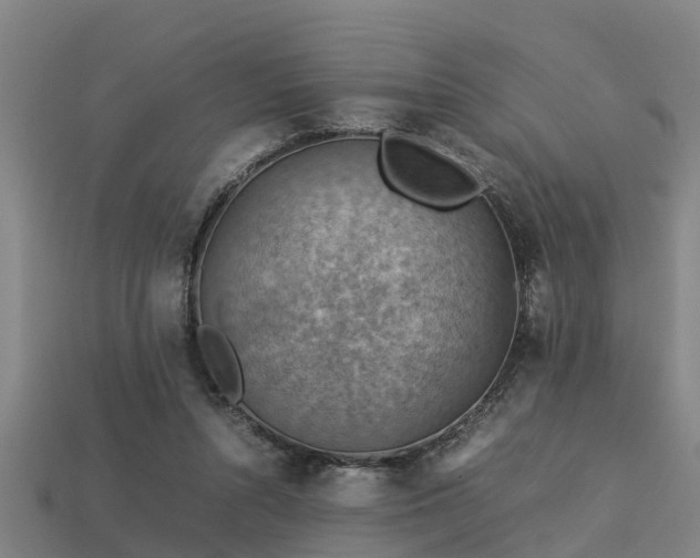 X0000113590352200909251140