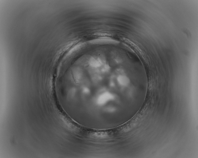 X0000113590353200909251140