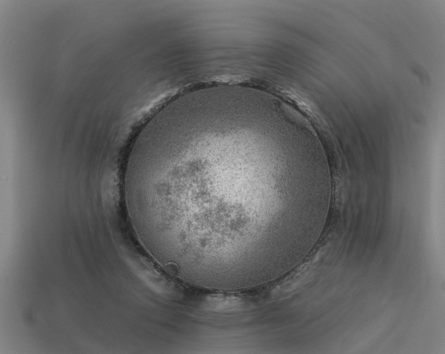 X0000113590354200909251140