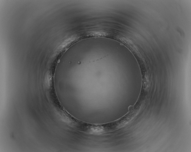 X0000113590355200909251140