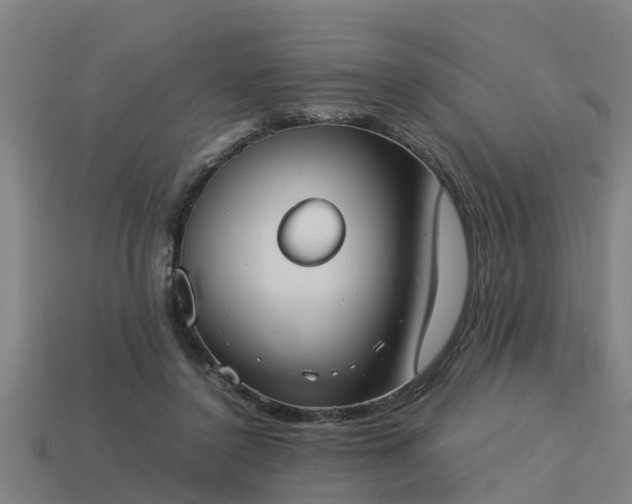 X0000113590356200909251140