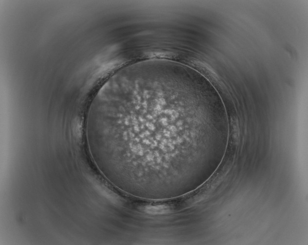 X0000113590357200909251140