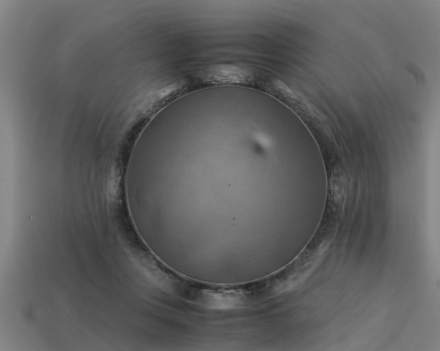 X0000113590359200909251140