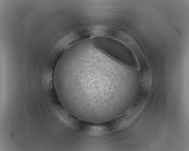 X0000113590360200909251140