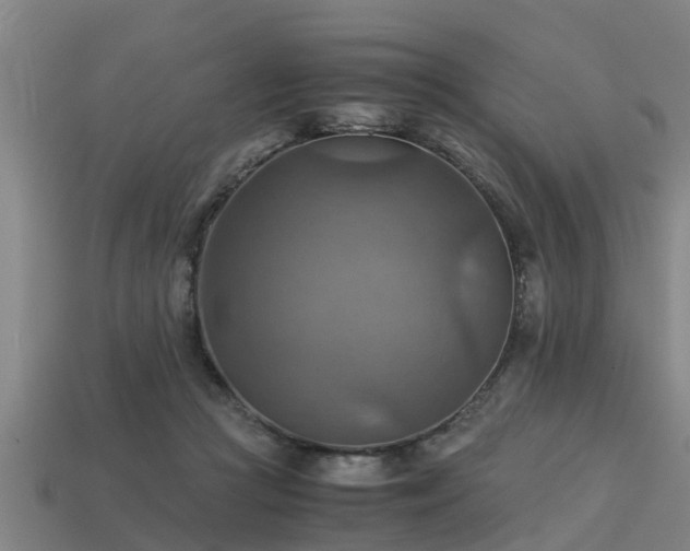 X0000113590361200909251140