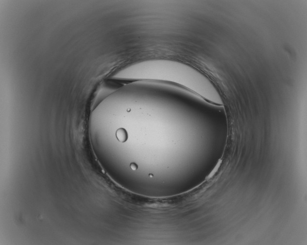 X0000113590362200909251140